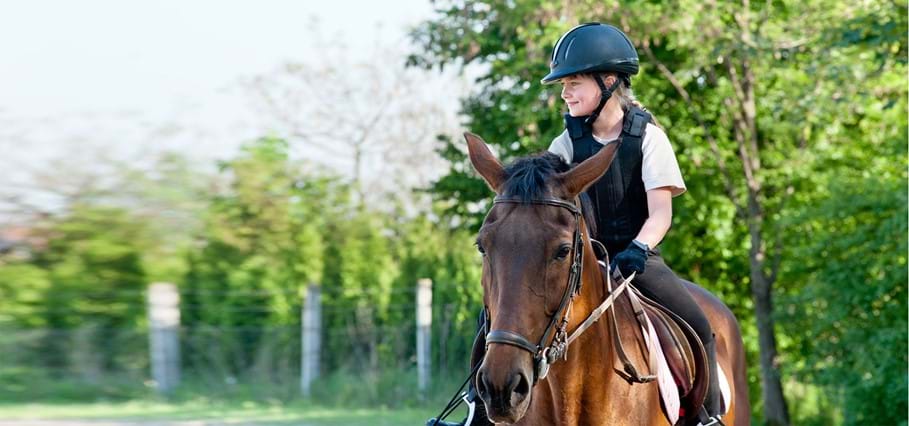 Ouders en kinderen: samen veilig en vertrouwd met paarden