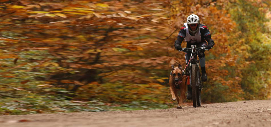 Kijk ik sport: “Bij canicross en bikejoring vorm je echt een team met je beste maatje”