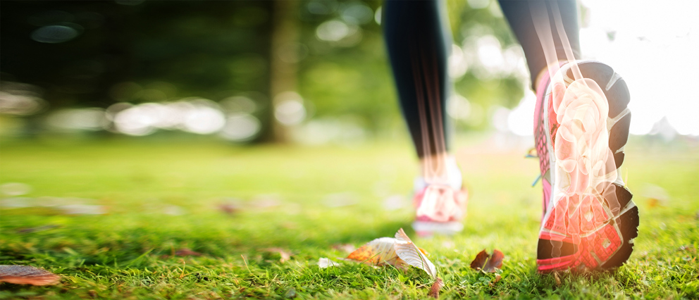 Lange afstanden lopen goed voor de botten