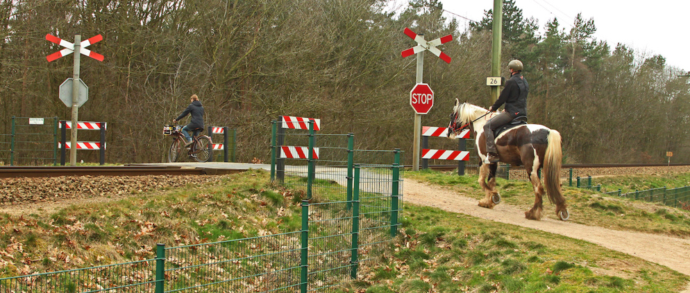 Je favoriete trainingsrondje, met hindernissen