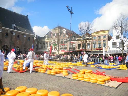 De wereldberoemde kaasmarkt in Alkmaar