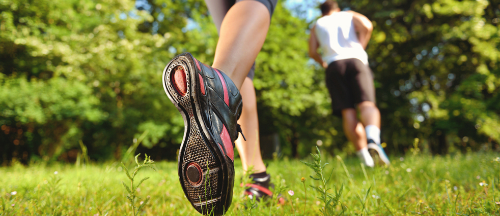 Zomertip: Safari-joggen en wild spotten op de Veluwe